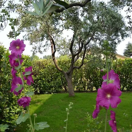 Oda ve Kahvaltı Garda 4u
